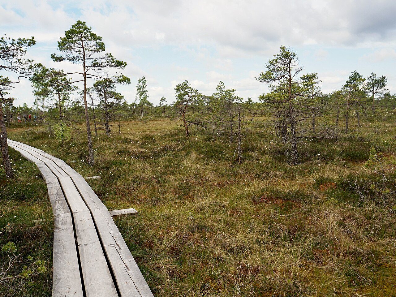 Nature & Landscapes