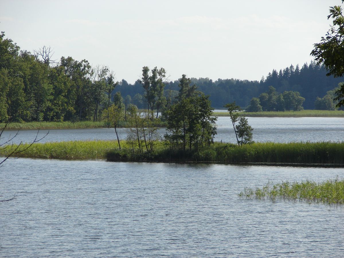 Ežezers, a many-island lake in the Latgale region of eastern Latvia